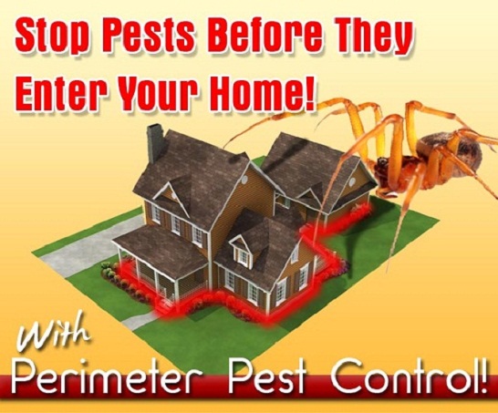 Western Tennessee Pest Control