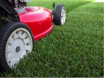 Mowing FAQ