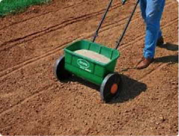 Lawn Seeding